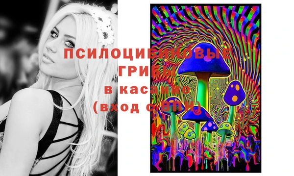 мдпв Алексин