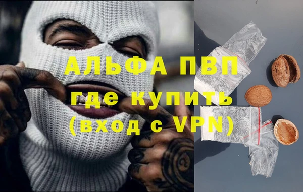 стаф Алзамай