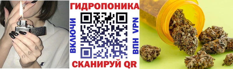 Канабис OG Kush  закладка  Октябрьск 